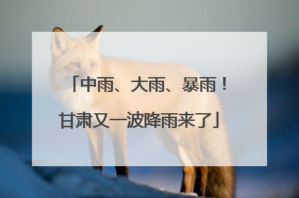 中雨、大雨、暴雨！甘肃又一波降雨来了