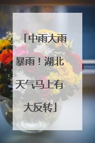 中雨大雨暴雨！湖北天气马上有大反转