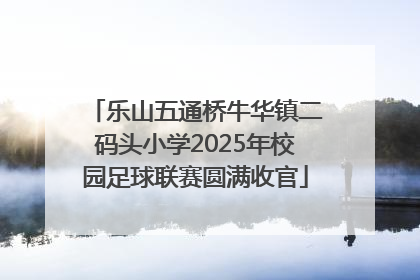 乐山五通桥牛华镇二码头小学2025年校园足球联赛圆满收官