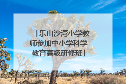 乐山沙湾小学教师参加中小学科学教育高级研修班