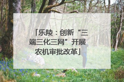 乐陵：创新“三端三化三网”开展农机审批改革