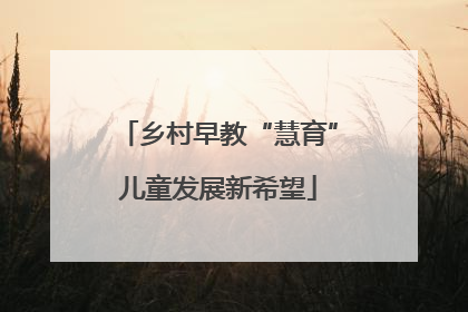 乡村早教“慧育”儿童发展新希望