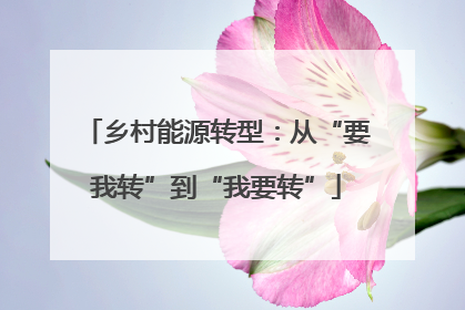 乡村能源转型：从“要我转”到“我要转”
