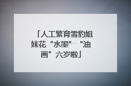 人工繁育雪豹姐妹花“水墨”“油画”六岁啦
