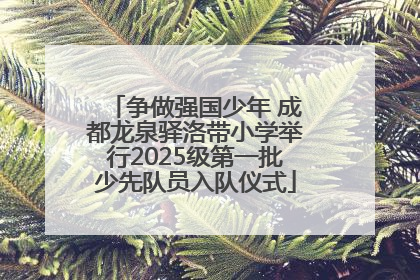 争做强国少年 成都龙泉驿洛带小学举行2025级第一批少先队员入队仪式