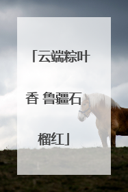 云端粽叶香 鲁疆石榴红