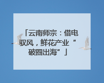 云南师宗：借电驭风，鲜花产业“破圈出海”
