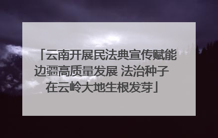 云南开展民法典宣传赋能边疆高质量发展 法治种子在云岭大地生根发芽