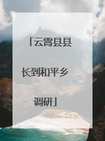 云霄县县长到和平乡调研