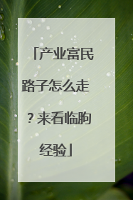 产业富民路子怎么走？来看临朐经验