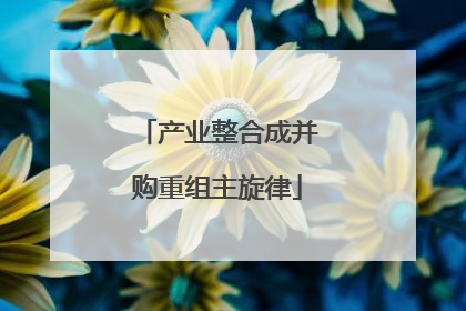 产业整合成并购重组主旋律