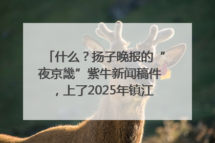 什么？扬子晚报的“夜京畿”紫牛新闻稿件，上了2025年镇江中考模拟卷！