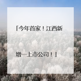 今年首家！江西新增一上市公司！