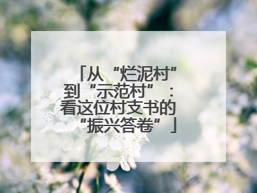 从“烂泥村”到“示范村”：看这位村支书的“振兴答卷”