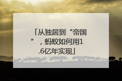 从独居到“帝国”，蚂蚁如何用1.6亿年实现