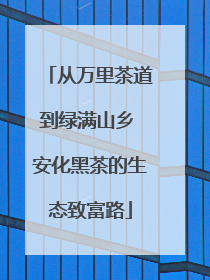 从万里茶道到绿满山乡 安化黑茶的生态致富路