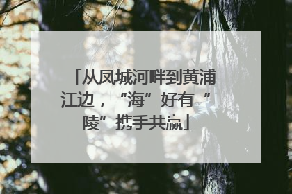 从凤城河畔到黄浦江边，“海”好有“陵”携手共赢