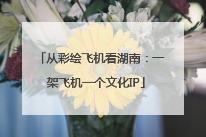 从彩绘飞机看湖南：一架飞机一个文化IP