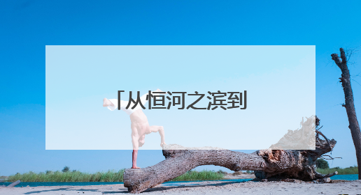 从恒河之滨到全球热潮：瑜伽现代化的文化蝶变与中国启示