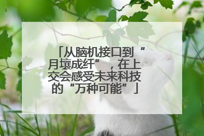 从脑机接口到“月壤成纤”，在上交会感受未来科技的“万种可能”