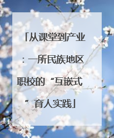 从课堂到产业：一所民族地区职校的“互嵌式”育人实践