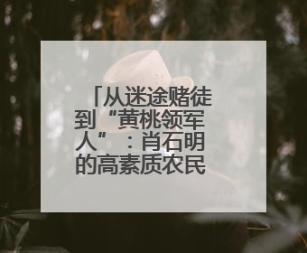 从迷途赌徒到“黄桃领军人”：肖石明的高素质农民蜕变之路