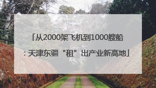 从2000架飞机到1000艘船：天津东疆“租”出产业新高地