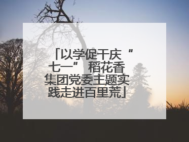 以学促干庆“七一” 稻花香集团党委主题实践走进百里荒