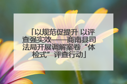 以规范促提升 以评查强实效——商南县司法局开展调解案卷“体检式”评查行动