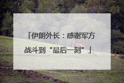 伊朗外长：感谢军方战斗到“最后一刻”
