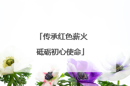 传承红色薪火 砥砺初心使命