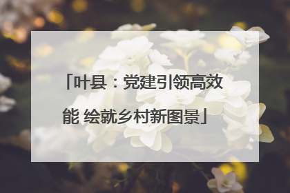 叶县：党建引领高效能 绘就乡村新图景