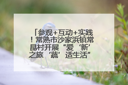 参观+互动+实践！常熟市沙家浜镇常昆村开展“爱‘新’之旅‘蔬’适生活”参观学习活动