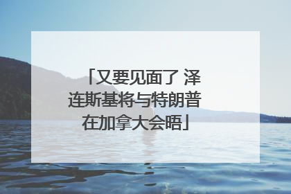 又要见面了 泽连斯基将与特朗普在加拿大会晤
