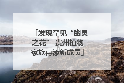 发现罕见“幽灵之花” 贵州植物家族再添新成员