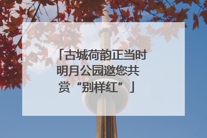 古城荷韵正当时 明月公园邀您共赏“别样红”