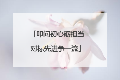 叩问初心砺担当 对标先进争一流