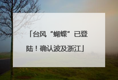 台风“蝴蝶”已登陆！确认波及浙江