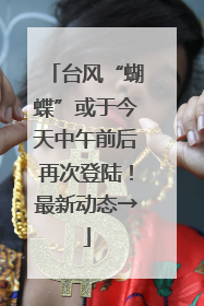 台风“蝴蝶”或于今天中午前后再次登陆！最新动态→