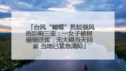 台风“蝴蝶”携较强风雨影响三亚：一女子被树砸倒送医，无大碍当天回家 当地已紧急清障