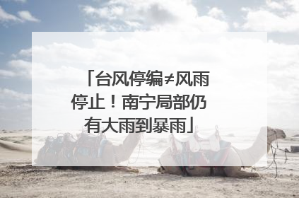 台风停编≠风雨停止！南宁局部仍有大雨到暴雨