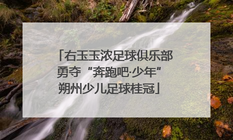 右玉玉浓足球俱乐部勇夺“奔跑吧·少年”朔州少儿足球桂冠