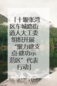 十堰张湾区车城路街道人大工委组织开展 “聚力建支点·建功示范区”代表行动