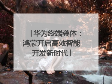 华为终端龚体：鸿蒙开启高效智能开发新时代