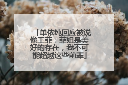 单依纯回应被说像王菲：菲姐是美好的存在，我不可能超越这些前辈