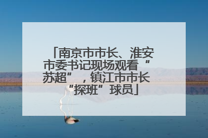 南京市市长、淮安市委书记现场观看“苏超”，镇江市市长“探班”球员