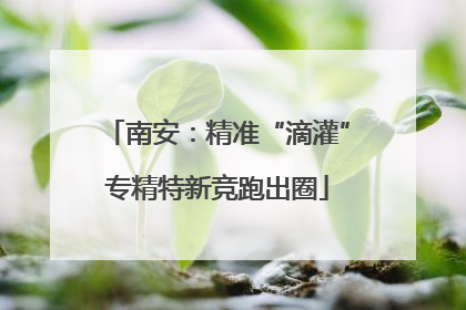 南安：精准“滴灌”专精特新竞跑出圈