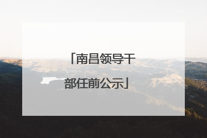 南昌领导干部任前公示