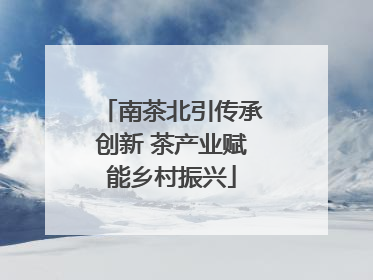 南茶北引传承创新 茶产业赋能乡村振兴