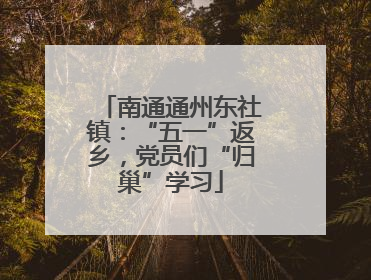 南通通州东社镇：“五一”返乡，党员们“归巢”学习